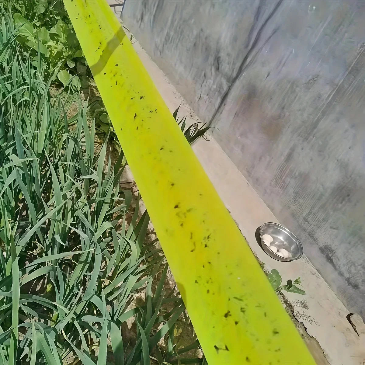 1 Roll 5M of Yellow Double-Sided Insect Proof Tape To Prevent Insects, Ants, and Moths From Climbing. Outdoor Garden Insect Trap Home Gardening Accessories