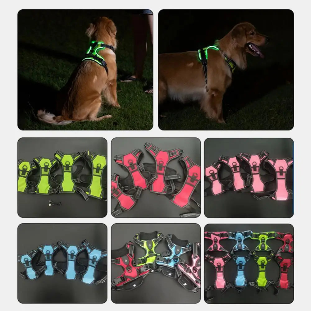 LED Light Pet Harness Rechargeable Dog Harness for Night Walking Adjustable Glow Vest for Small Medium Dogs Pet Chest Strap Soft Dog