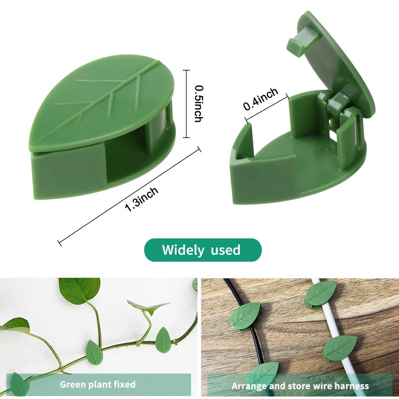 20-50PCS Invisible Plant Climbing Wall Fixture Rattan Vine Bracket Fixed Buckle Leaf Clips Traction Holder Garden Plant Pillar