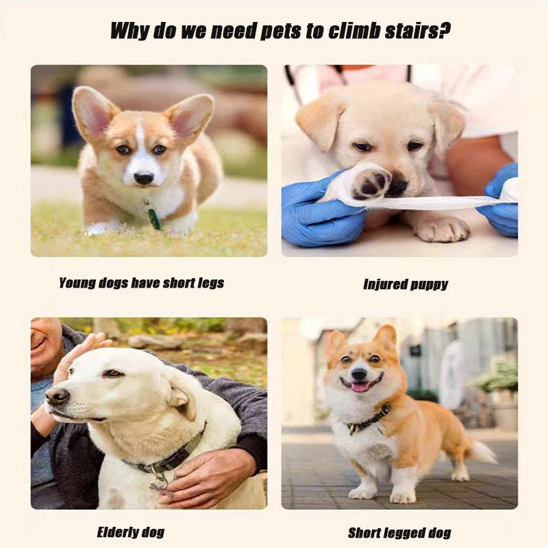 Dogs Cats 2/3/4 Step Dog Stair Cat Pet Ramp Ladder Washable Non Slip Removable Memory Foam Pet Stair Dog Ramp Multi Scene Available