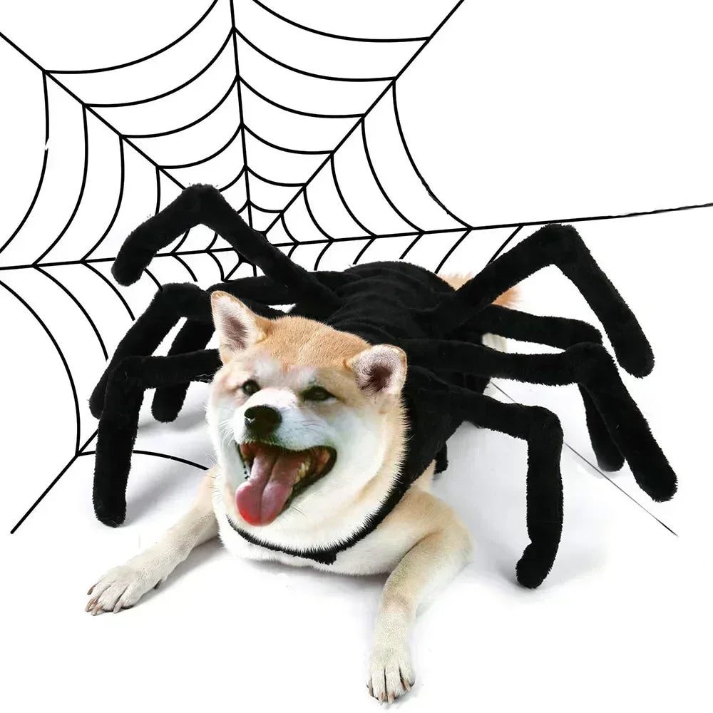 Pet Halloween Funny Spider Chest and Back Creative Cat, Dog and Small Dog Transformation Costume