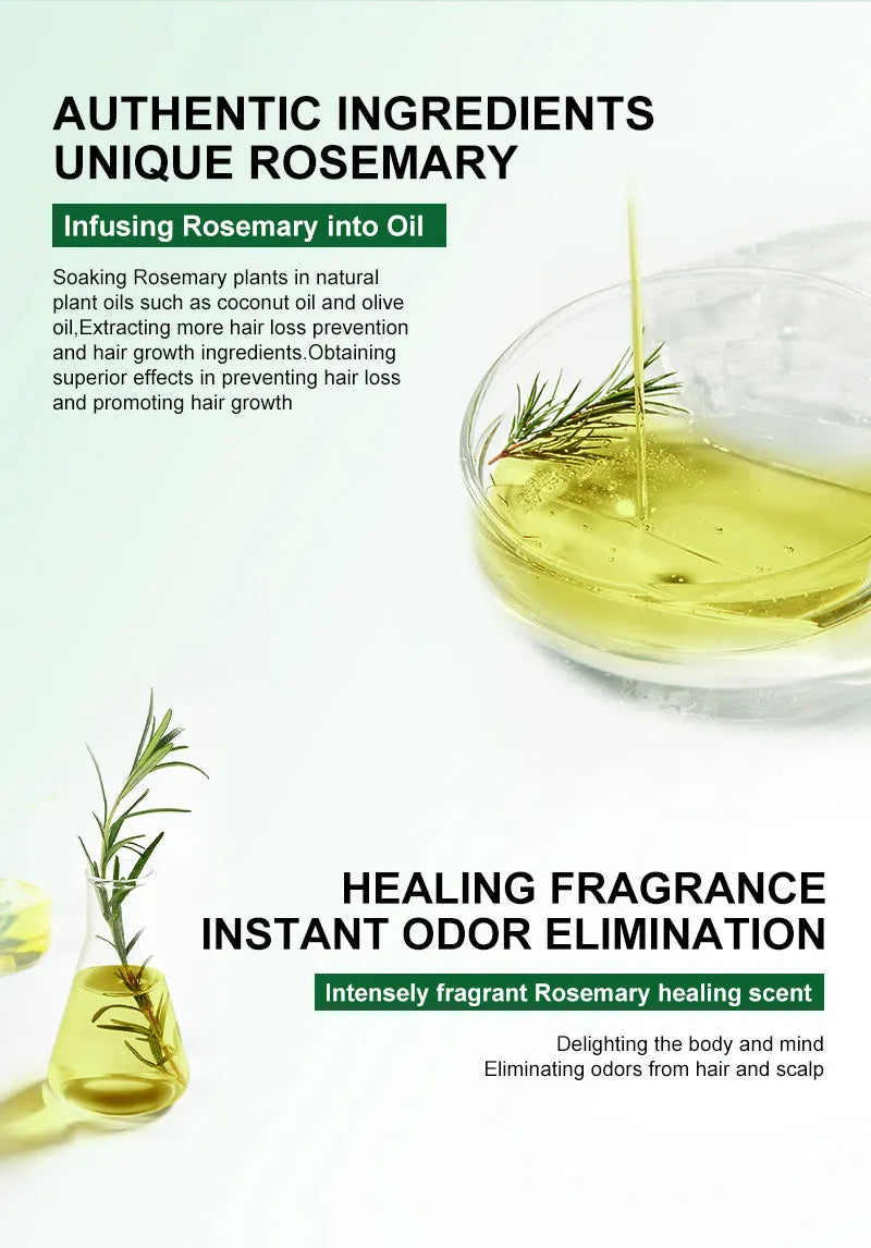 Rosemary Natural Ginger Oil Hair Growth Products for Man Women Ginger Anti Hair Loss Fast Regrowth Thicken Oils Scalp Treatment Hair Care