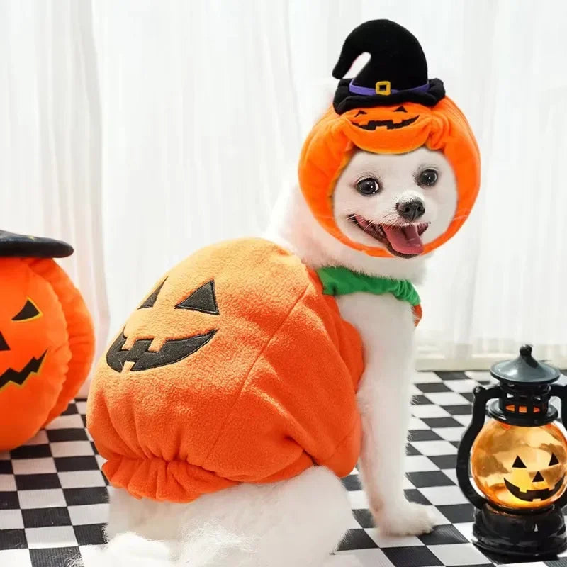 Halloween Dog Costumes Funny Pumpkin Lantern Transformation Outfit Halloween Dog Cat Two Legged Pet Cute Pumpkin Hat Dog Jacket