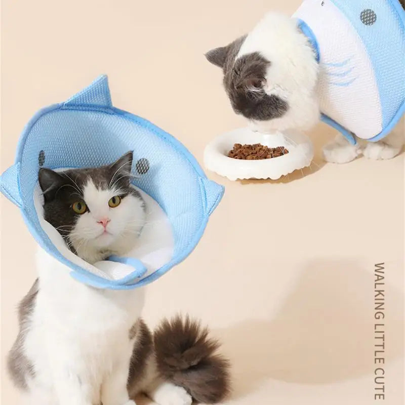 Cat Hat Prevent Scratches And Infections Protected Pet Rehabilitation Recover Prevent Scratches Elizabethan Collar After Surgery