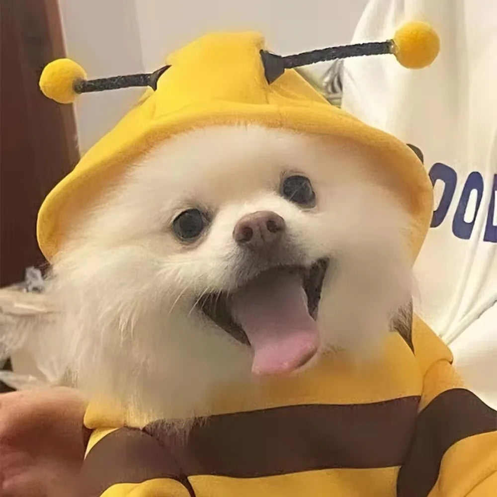 1Pcs Bee Hoodie Puppy Apparel Cartoon Outfit  Dog Cat Hoodie Halloween Cosplay Costumes New Pet Products