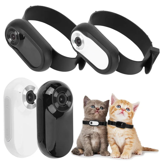 HD 1080P Sport/Action Camera No WiFi Needed Dog Cat Pet Camera Collar Pet Sport Camera Video Records with 32G Card Pet Supplies