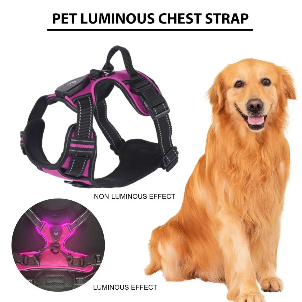 LED Light Pet Harness Rechargeable Dog Harness for Night Walking Adjustable Glow Vest for Small Medium Dogs Pet Chest Strap Soft Dog