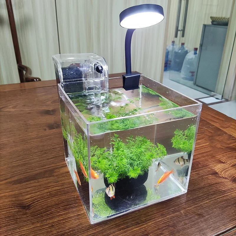 Mini Desktop Transparent Acrylic Aquarium Aquatic Grass, Shrimp, Turtle, Goldfish Fish Tank with Filter System and Lamp