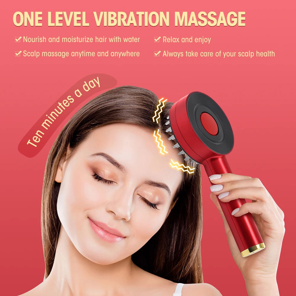 NEW Arrivals EMS Electric Massage Comb Vibration Red Blue Light Therapy Hair Growth Massage Scalp Brush Anti Hair Loss Nano Spray Hair Care Supplies