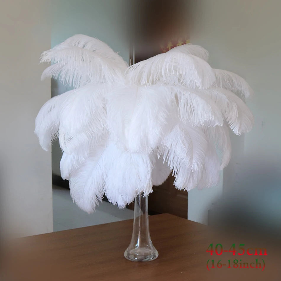 10 PCS Set 10 Colors Natural Ostrich Feathers Wedding Home Decor 30-35cm/40-45cm Ostrich Plumes Table Centerpiece Crafts