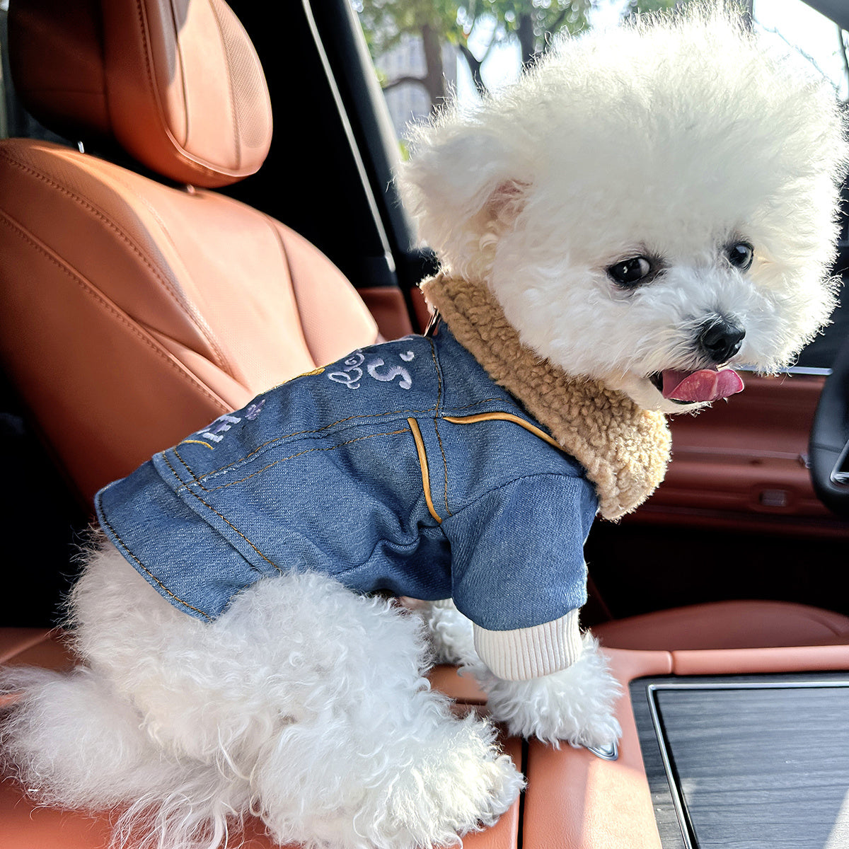 XS-XL Size Pet Clothing for Small Medium Dogs: Casual, Fashionable, Comfortable, Warm, -Lined, Thickened Jacket for Autumn and Winter Pets Apparel Clothing Supplies