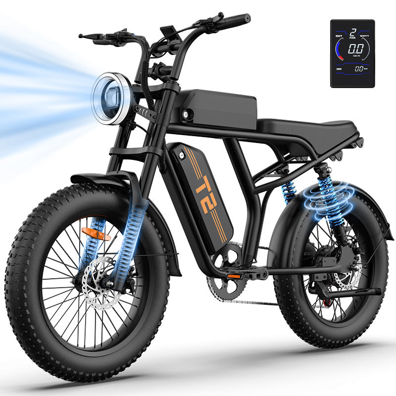 20"x4" Fat Tire Electric Mountain Bike T2 - 250W High-Efficiency Motor, 48V 15.6Ah Removable Battery, 25KM/H, 80-100 Mile Range, 7-Speed Transmission, Hydraulic Disc Brakes, LCD Display, Perfect for Snow & Rough Terrains