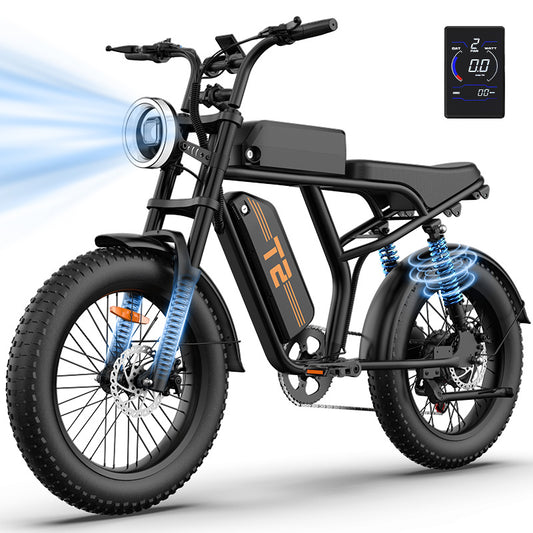 20"x4" Fat Tire Electric Mountain Bike T2 - 250W High-Efficiency Motor, 48V 15.6Ah Removable Battery, 25KM/H, 80-100 Mile Range, 7-Speed Transmission, Hydraulic Disc Brakes, LCD Display, Perfect for Snow & Rough Terrains