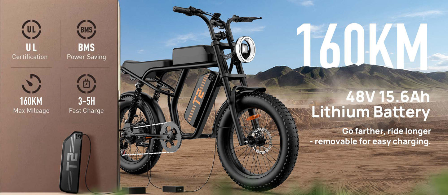 20"x4" Fat Tire Electric Mountain Bike T2 - 250W High-Efficiency Motor, 48V 15.6Ah Removable Battery, 25KM/H, 80-100 Mile Range, 7-Speed Transmission, Hydraulic Disc Brakes, LCD Display, Perfect for Snow & Rough Terrains