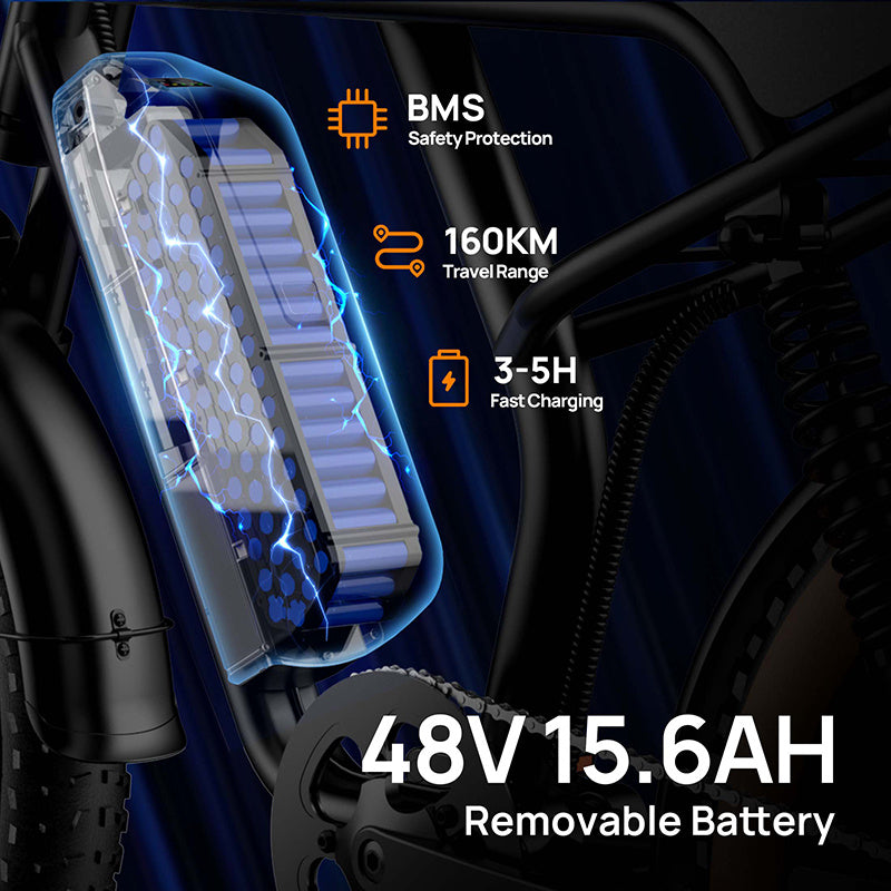 20"x4" Fat Tire Electric Mountain Bike T2 - 250W High-Efficiency Motor, 48V 15.6Ah Removable Battery, 25KM/H, 80-100 Mile Range, 7-Speed Transmission, Hydraulic Disc Brakes, LCD Display, Perfect for Snow & Rough Terrains