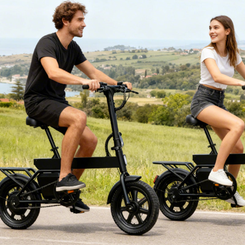 14inch Foldable Electric Bike, Mini City E-Bike, LCD Display, 36V 7.8Ah Battery, 250W Motor, 4 Riding Modes, 4 Speed Levels,25km/h Top Speed And 45km Max Range, With Rear Rack, Pedal Assist, Dual Disc Brakes, Night Lights, an
