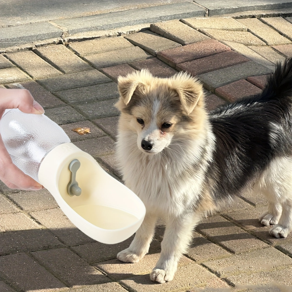 Plastic Pet Supplies Cat Dog Water Dispenser Outdoor Travel Hiking Water Bottle
